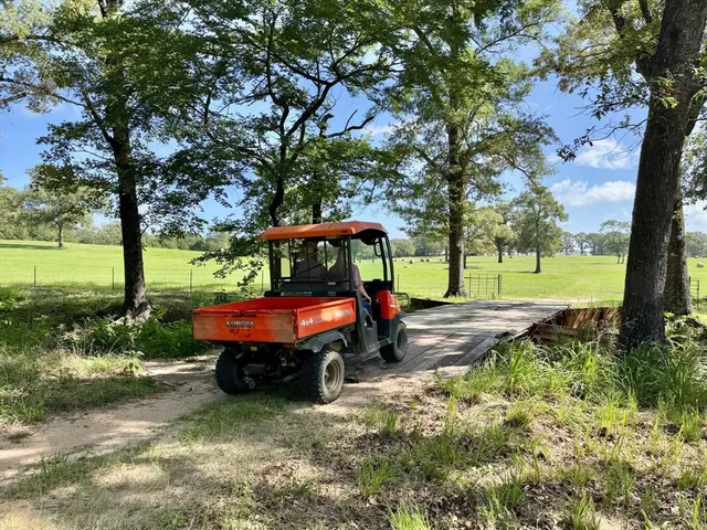 a view of backyard with large trees