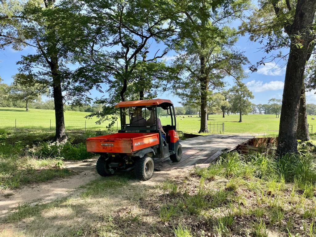 3104 County Road 3104 Edgewood, TX 75117 - Photo 18 of 24 a view of backyard with large trees