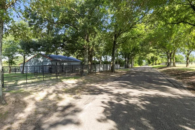 a view of a tree in front of a house