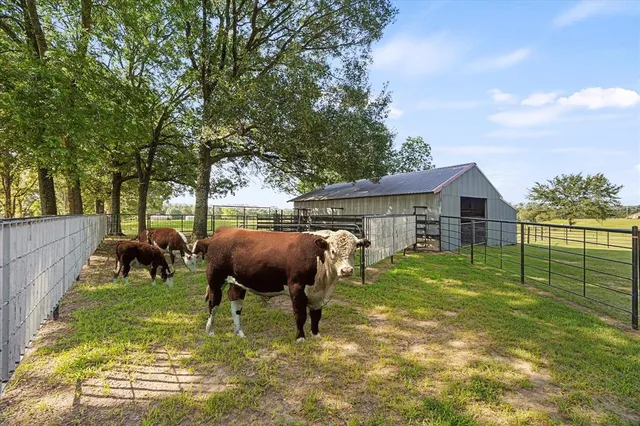a view of house with backyard