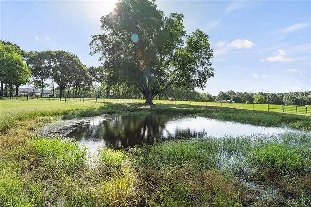 a view of a lake with a yard and large trees