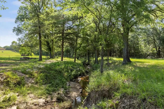 a view of outdoor space with deck and yard