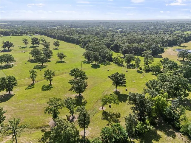 a view of city and ocean