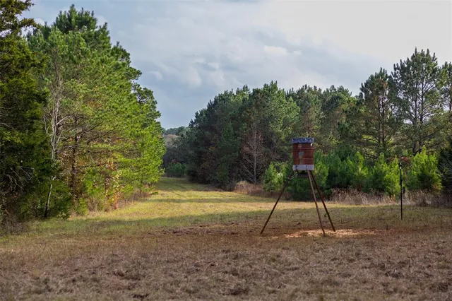 an aerial view of mountain and tree