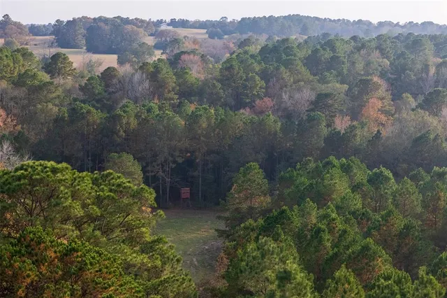 a view of a yard with an ocean