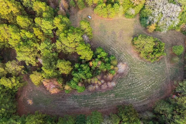 a view of a field with a tree
