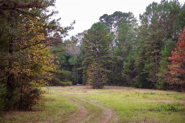 a view of a outdoor space