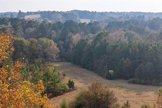 a view of a dry yard