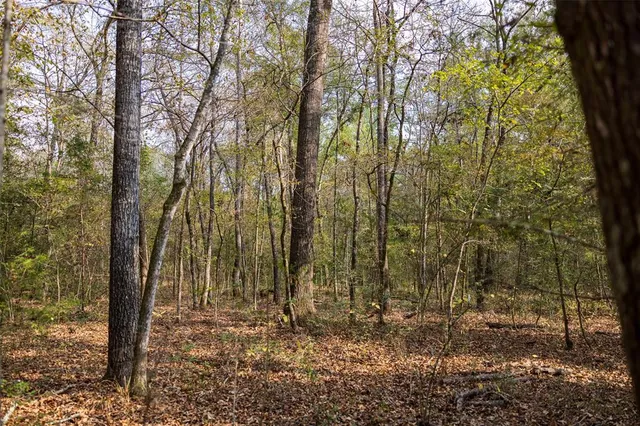 a view of outdoor space with lots of trees