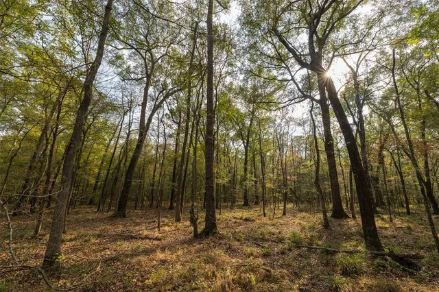 a close up of a sink