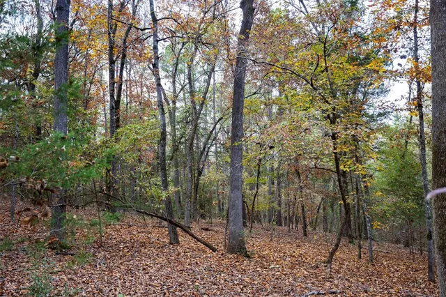 a view of a yard with a tree