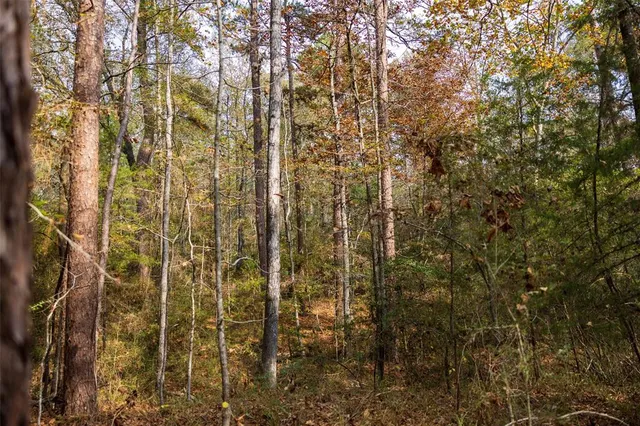 an aerial view of green landscape with trees houses and mountain view