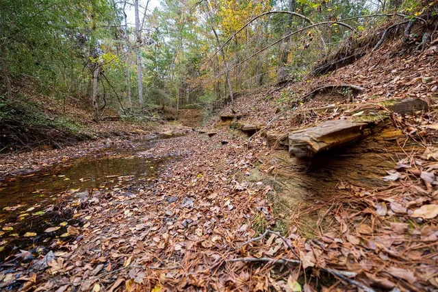 a view of an outdoor space