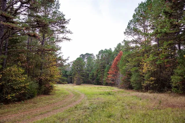$1,180,000 | 0 Farm To Market Road 228, Grapeland, TX 75844