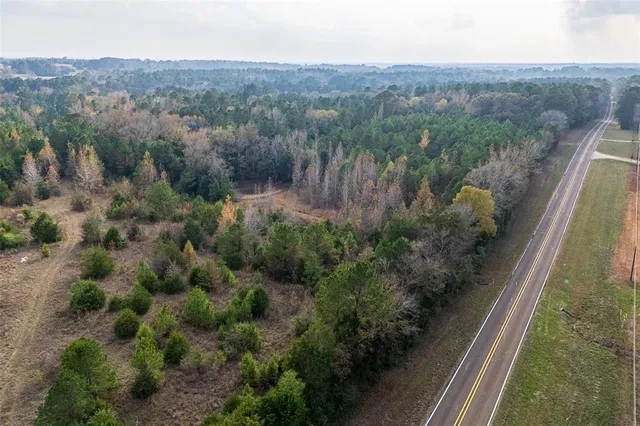 $1,180,000 | 0 Farm To Market Road 228, Grapeland, TX 75844