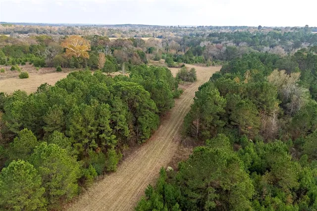 an aerial view of forest