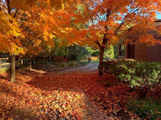 36 Sunset Road Bloomington, IL 61701 - Photo 29 of 67 a backyard of a house with lots of green space