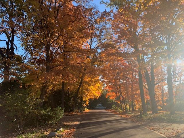 36 Sunset Road Bloomington, IL 61701 - Photo 31 of 67