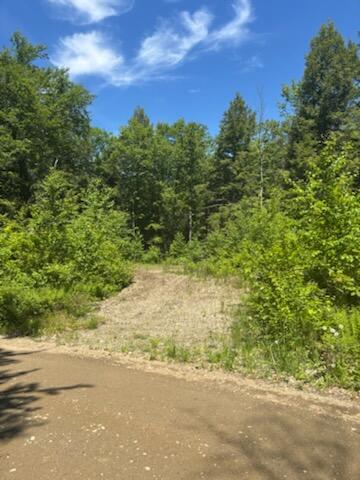 Lot 2 Brown Road Liberty, ME 04949 - Photo 1 of 5 Cover Photo