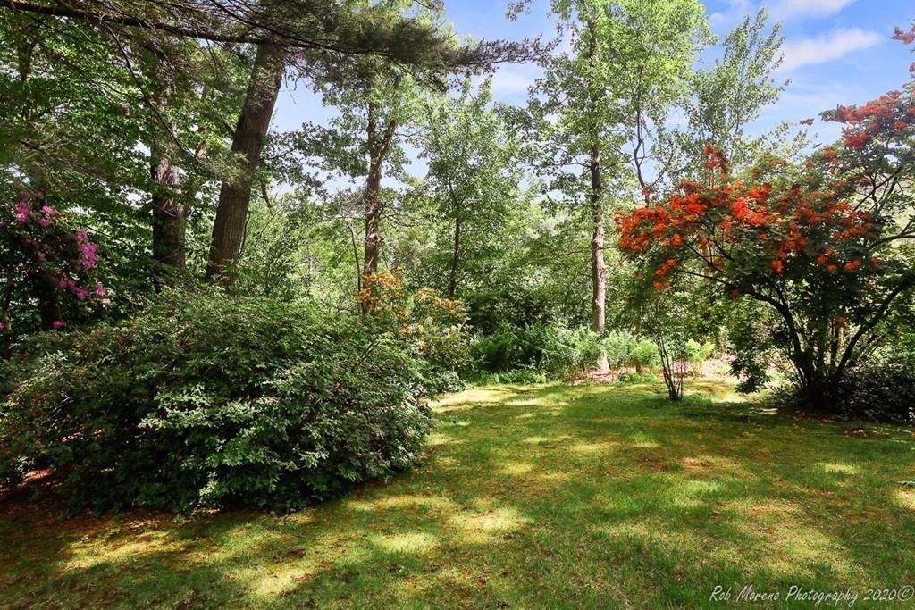 6 Pilgrim Road Hamilton, MA 01982 - Photo 28 of 32 a view of a trees in a yard