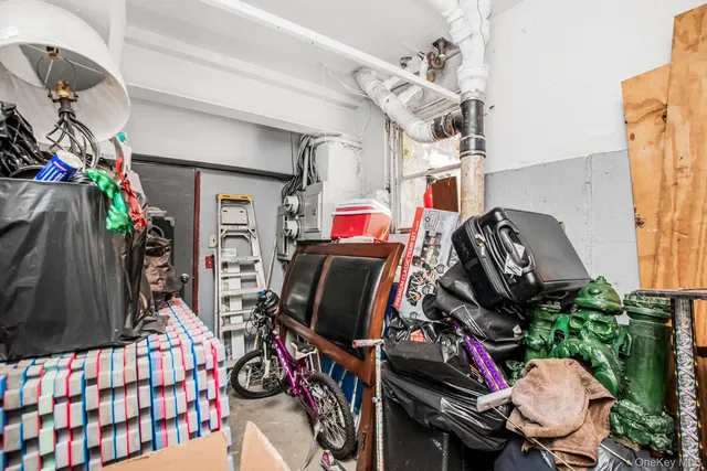a view of a yard with plants and large trees