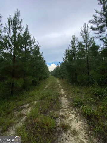 a view of an outdoor space and a yard