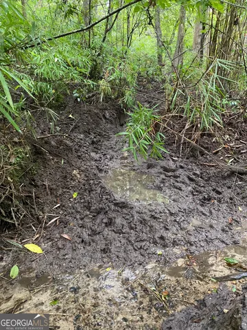 $180,000 | 0 Highway 242, Bartow, GA 30413