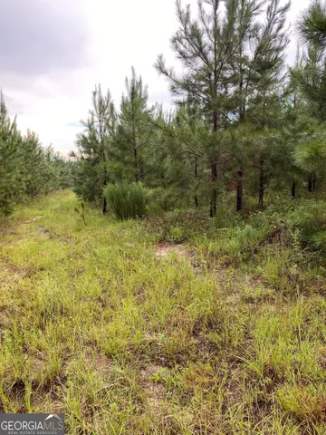 a view of a field with trees in the background