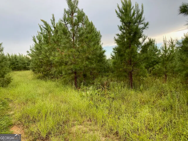 a view of a lake with a trees in the background