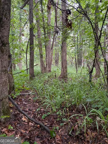 a big yard with lots of green space and deers