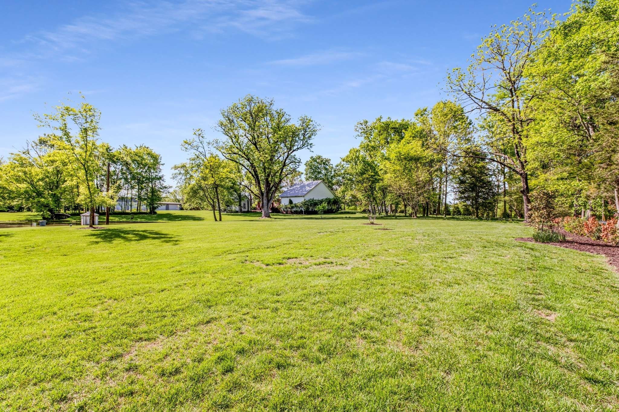 405 Webb Road West Bell Buckle, TN 37020 - Photo 68 of 70 a view of yard with green space