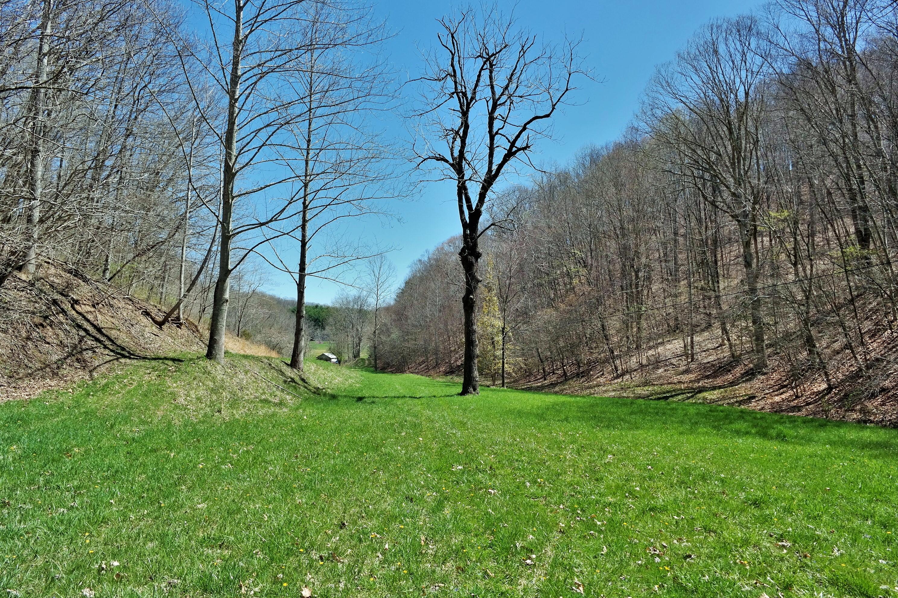 3678 Snake Run Road Alderson, WV 24910 - Photo 44 of 124 Gallery Image 44