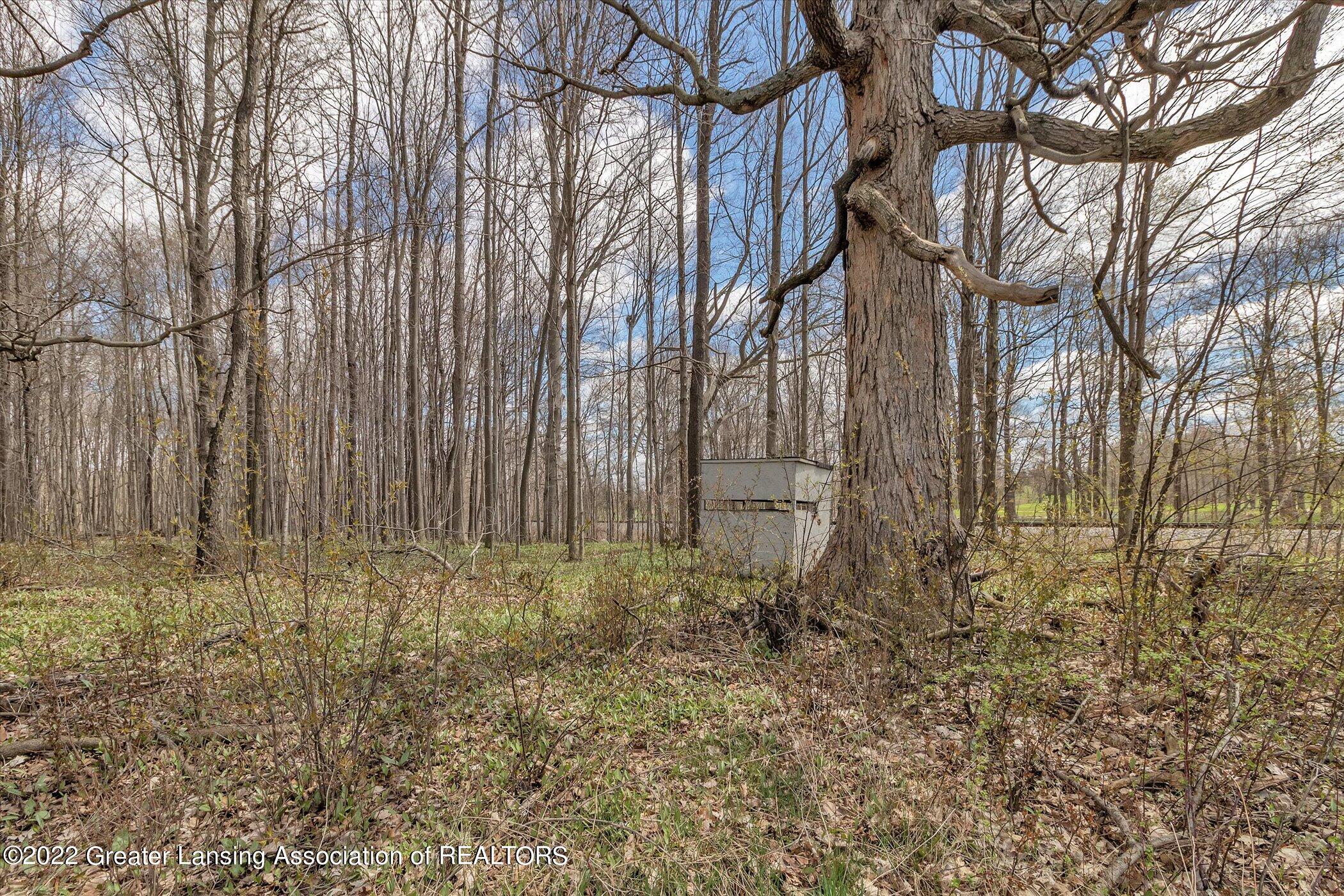 13530 Kenyon Road Grand Ledge, MI 48837 - Photo 42 of 51 44-13530-Kenyon-Rd-WindowStill-Real-Esta
