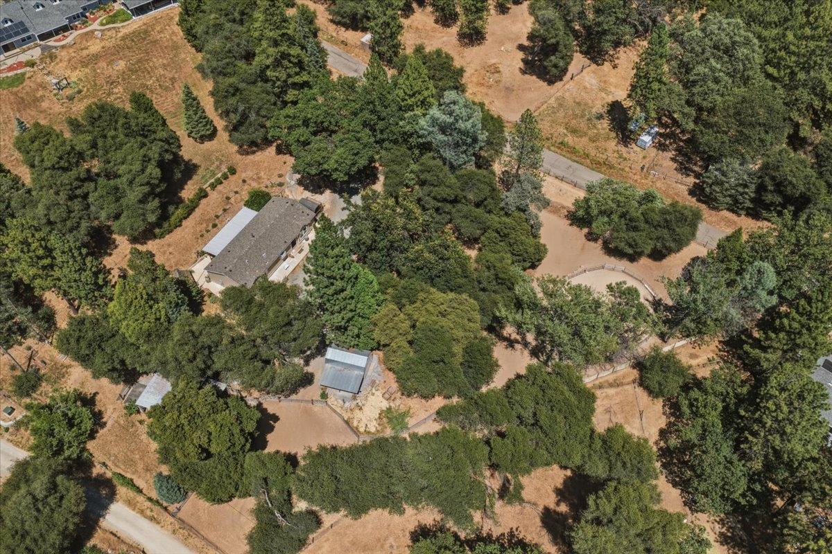 4246 Silver Ridge Court Placerville, CA 95667 - Photo 46 of 48