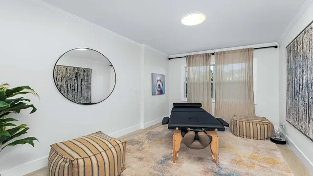 a living room with a couch and a potted plant
