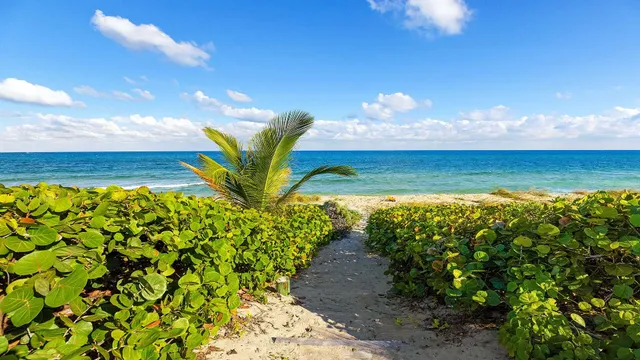 a view of a outdoor space with garden in the background