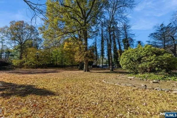 a view of a yard with trees
