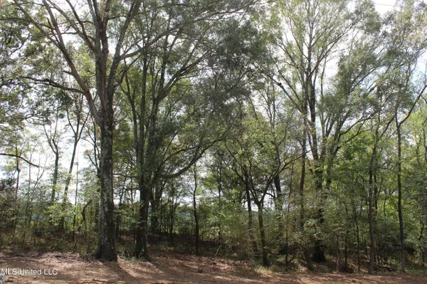 $99,000 | 9 Hickory Hollow Road, Coldwater, MS 38618