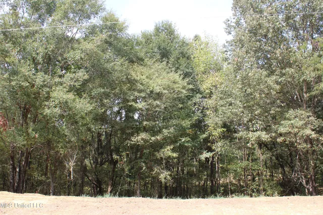 $99,000 | 9 Hickory Hollow Road, Coldwater, MS 38618