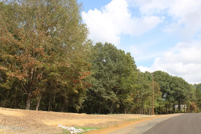 $99,000 | 9 Hickory Hollow Road, Coldwater, MS 38618