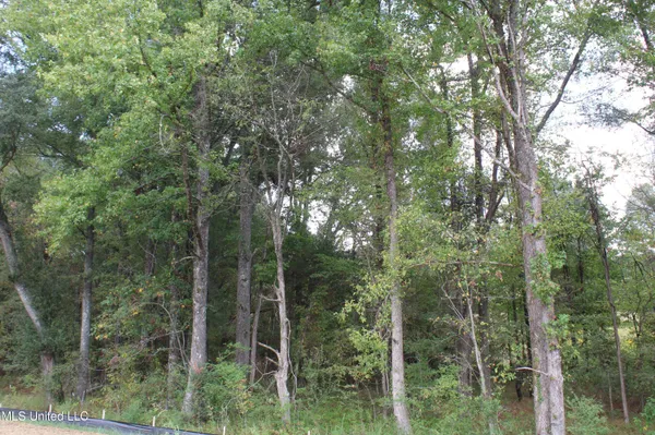 $99,000 | 9 Hickory Hollow Road, Coldwater, MS 38618