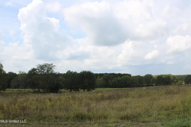 $99,000 | 9 Hickory Hollow Road, Coldwater, MS 38618