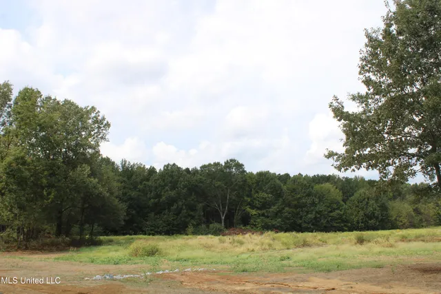 $99,000 | 9 Hickory Hollow Road, Coldwater, MS 38618