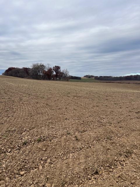 L4 Ervins Waunakee, WI 53597 - Photo 7 of 10