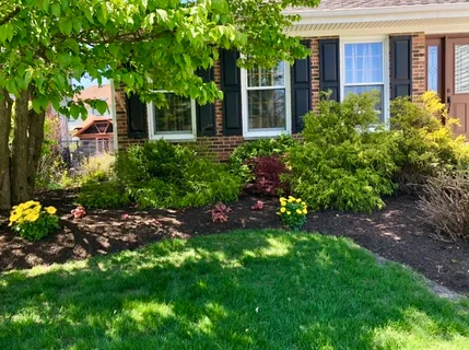 a view of a house with a garden