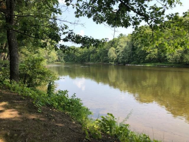 17175 Old Logging Road Hersey, MI 49639 - Photo 4 of 15 river views