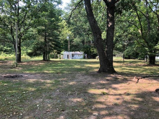 17175 Old Logging Road Hersey, MI 49639 - Photo 6 of 15 view from river