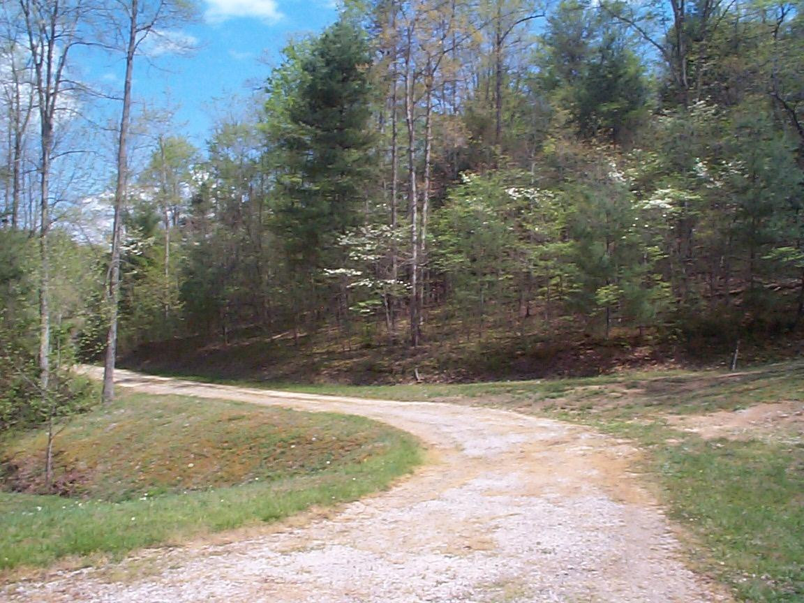 1399 Old State Road Wellington, KY 40387 - Photo 25 of 30 Photo 25