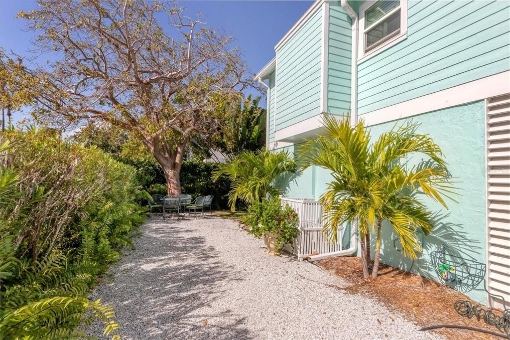 261 Lee Avenue Boca Grande, FL 33921 - Photo 38 of 48 a plant that is in front of a house