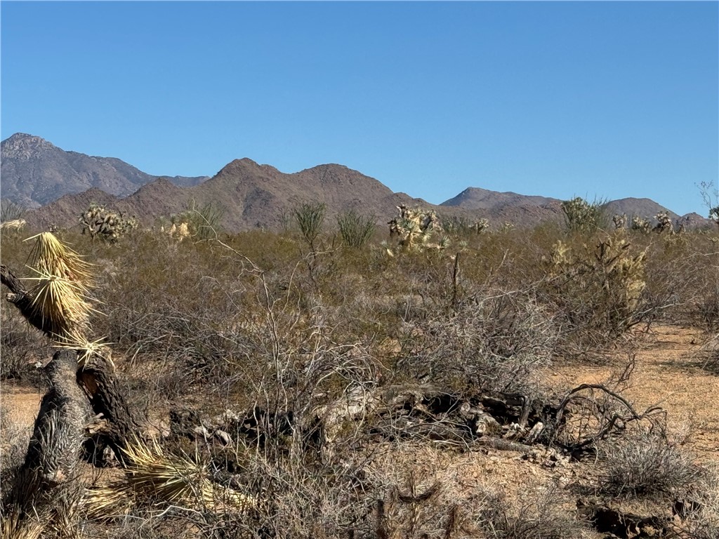 242-12-015 South Sundance Kid Road Yucca, AZ 86438 - Photo 6 of 21 a view of a large mountain with mountains in the background